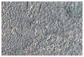 Platy-Ridged Lava in Cerberus Palus
