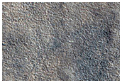 Northern Plains Sample
