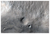 Terrain Sample

