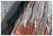 Gully Monitoring
