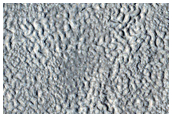 Crater with Concentric Crater Fill in Utopia Planitia
