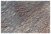 Olympus Mons
