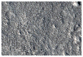 Interaction of Modified Ejecta with Tectonic Features in Ascuris Planum
