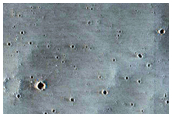 Terrain Sample
