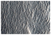 Candidate Recent Impact Site
