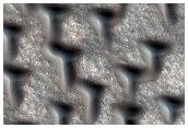 T-Shaped Dunes
