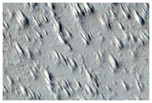 Lava Flows from Pavonis Mons
