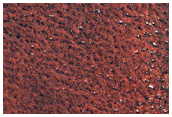 Northern Terrain Sample
