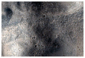 Gully Monitoring
