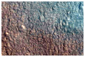 Terrain Sample
