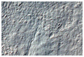 Monitor Gullies in Niquero Crater
