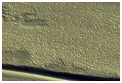 Track Dune Changes in Chasma Boreale
