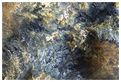 The Color Wonderland of Mawrth Vallis