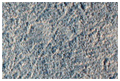 Polygonal Surface in Northern Mid-Latitudes
