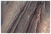Reticulate Terrain in Northwest Hellas Planitia
