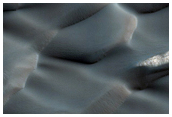 North Polar Gypsum Dunes
