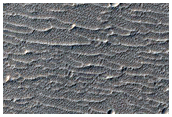 Candidate Recent Impact Site
