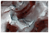 Dunes Buried by Water Ice
