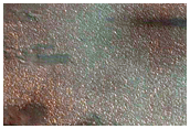 Track Dune Changes in Chasma Boreale
