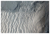 Clustered Mounds with Trough-Shaped Depressions

