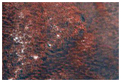 Persistent Northern Plains Ice Deposit Monitoring

