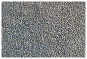 Scarp in Northern Plains
