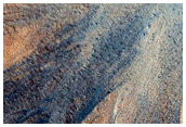 Gullied Crater
