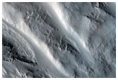 Gullies in Crater in Tempe Terra
