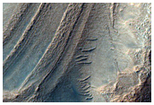 Reticulate Terrain in Northwest Hellas Planitia

