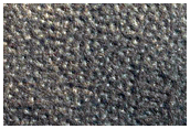 North Polar Intracrater Dunes
