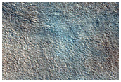 Northern Plains
