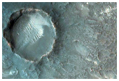 Candidate Landing Site for 2020 Mission in Nili Fossae

