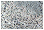 Gullies in Crater in Deuteronilus Mensae
