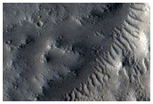 Channel Network along Rim of Eroded Crater in Mareotis Fossae
