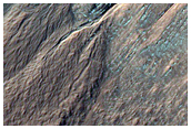 Monitor Frost in Gullies
