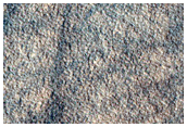 Utopia Planitia
