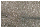 Track Dune Changes in Chasma Boreale
