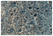 Terrain Near Ares Vallis