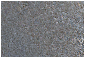 ExoMars Landing Site
