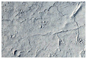 Elysium Planitia Lava
