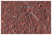 Mid-Latitude Terrain Sample
