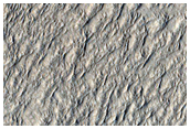 Layered Mesas in Lycus Sulci
