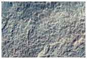 Mid-Latitude Terrain Sample
