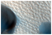 North Polar Dune Field
