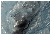Potential Clays and Sulfates in Melas Chasma
