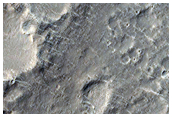 Floor of Infilled Crater