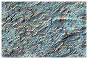 Bedrock Exposure
