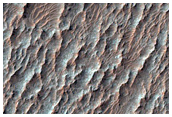 High Thermal Inertia Crater Floor
