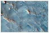 Convergence of Lobate Flows
