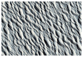 Northern Plains

